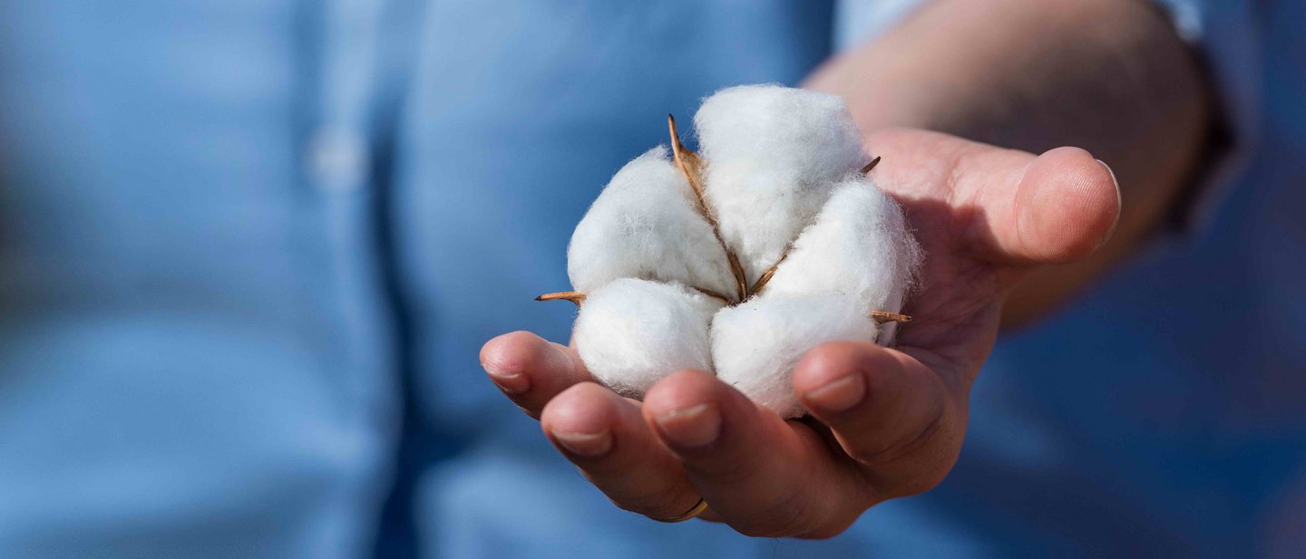 Woman holds cotton balls in hand