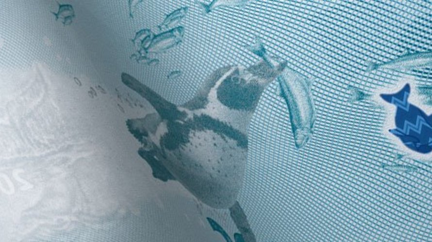 varifeye® ColourChange Sicherheitsfenster auf einer Musterbanknote mit Pinguin und Fisch