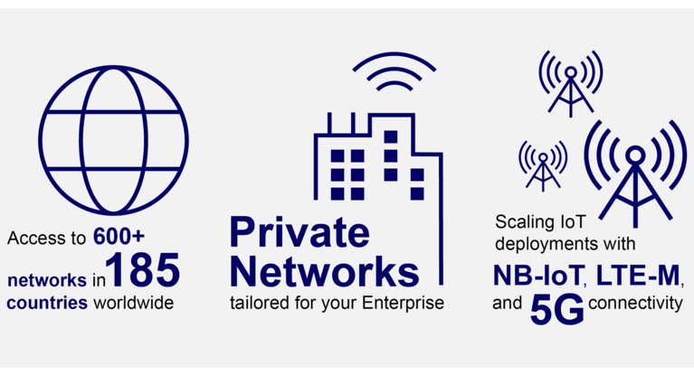 Infographic about Enterprise Network Operators (ENOs)