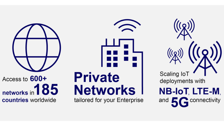 Infographic about Enterprise Network Operators (ENOs)