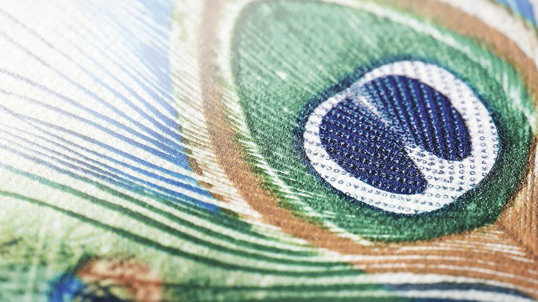 Close up of a banknote with a colorful peacock feather