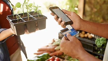Person überreicht kleine Pflanzen an eine andere Person, die ein Smartphone und eine Kreditkarte hält