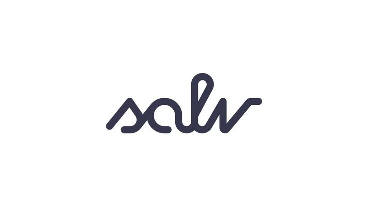Logo of salv