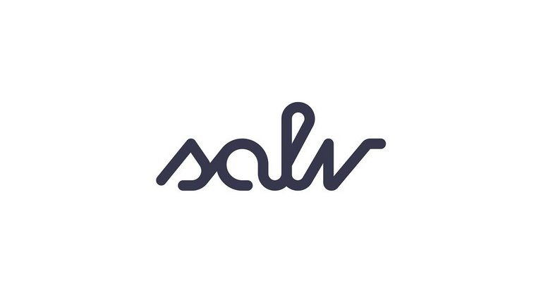 Logo of salv