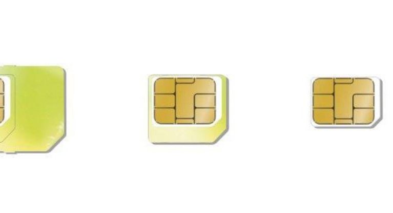 SIM cards in different sizes