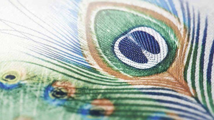 Close up of a banknote with a colorful peacock feather