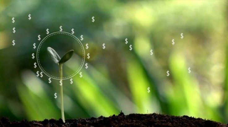 A plant shoot circled by simulated dollar signs