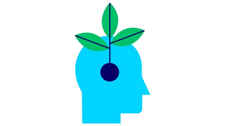 Icon Wissen mit Kopf auf dem eine Pflanze sprießt