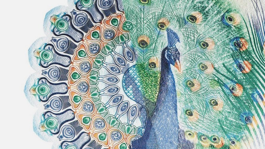 Illustration of banknote with intaglio printing and a colorful peacock