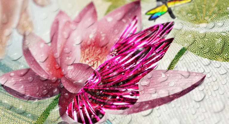 Closeup of banknote with lotus flower motive and water drops