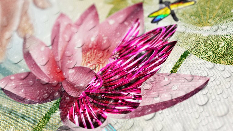 Closeup of banknote with lotus flower motive and water drops