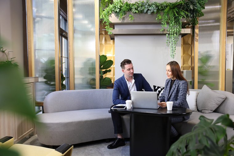 Businesspeople working in their office with green plants