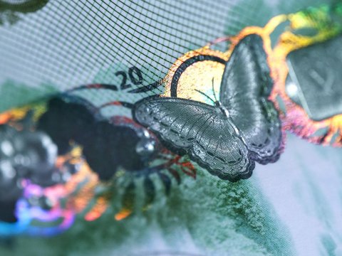 Close-up of a banknote with a butterfly
