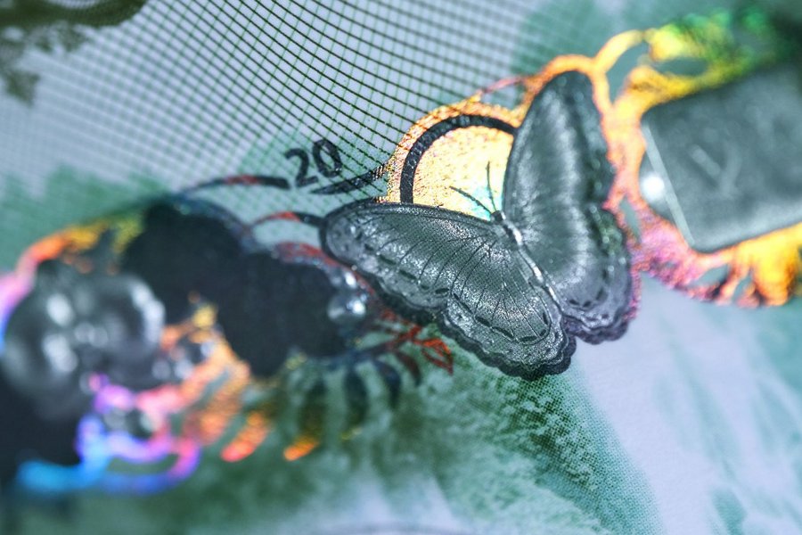 Nahaufnahme einer Banknote mit einem Schmetterling