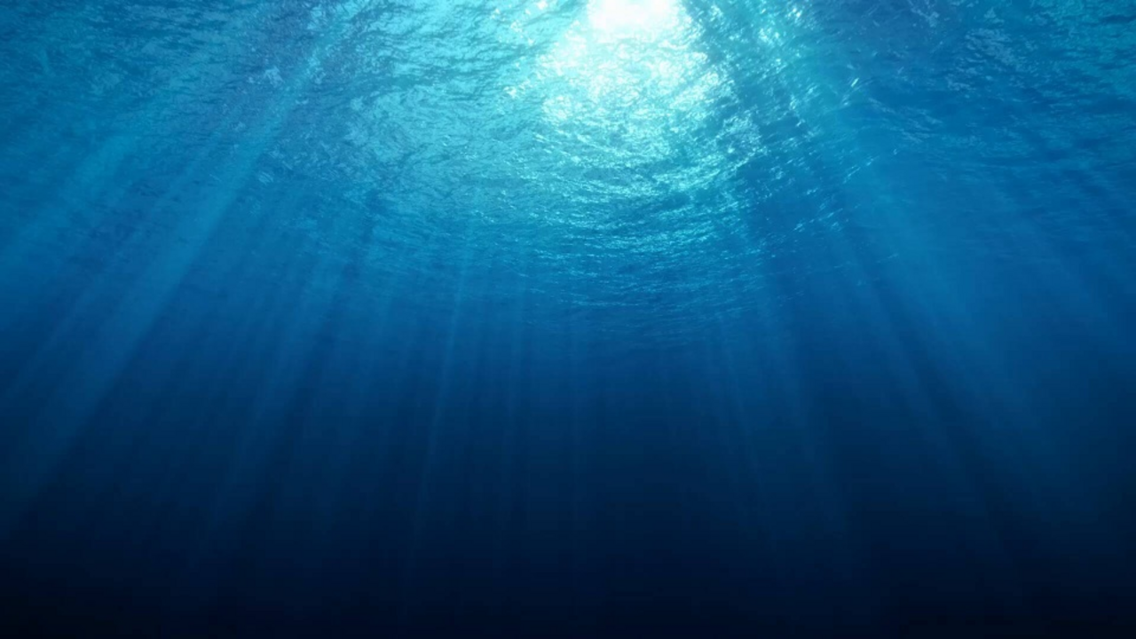 View from below up to the sea surface, light refracts irregularly in the water