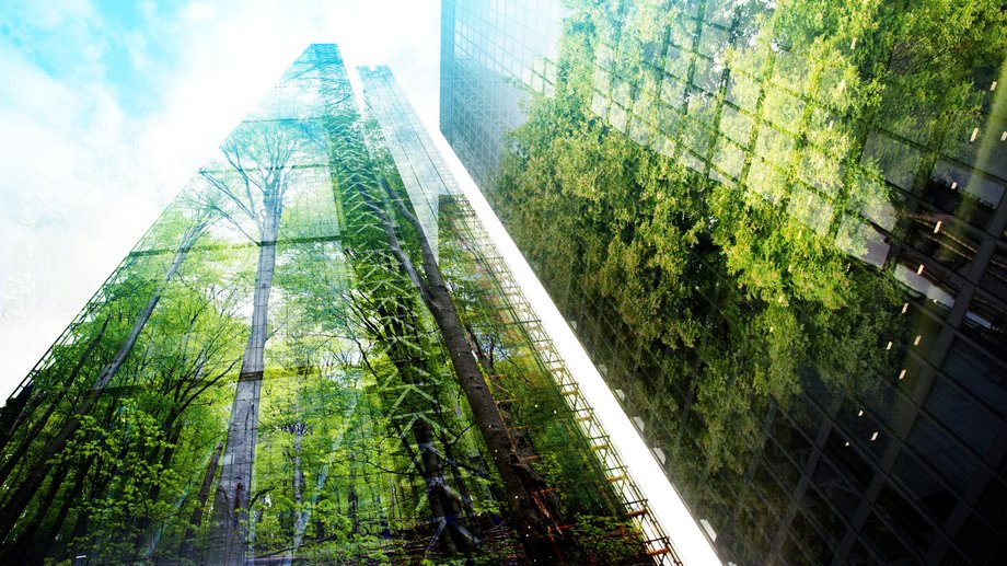 high glass building with forest animation in frog perspective