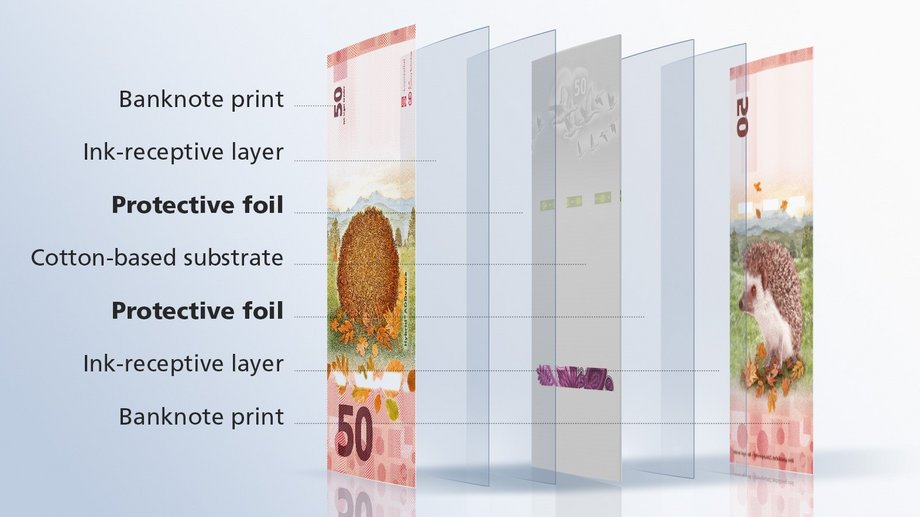 Figure showing the components of a banknote substrate