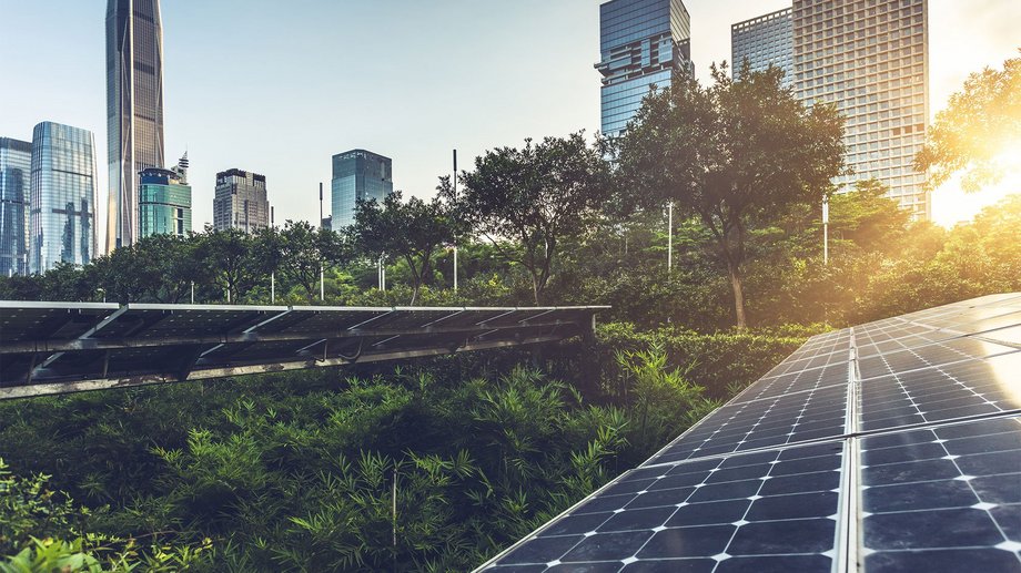 Solar cells between trees and a big city backdrop