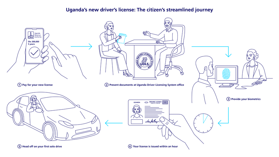Infographic about drivers' licence issuance