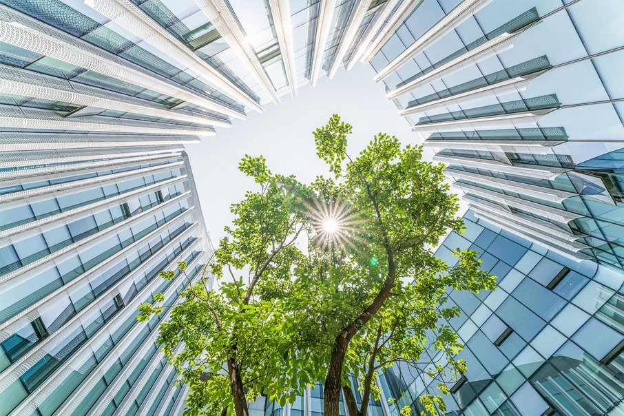 View from below upwards past a tree crown in an inner courtyard of a high-rise building