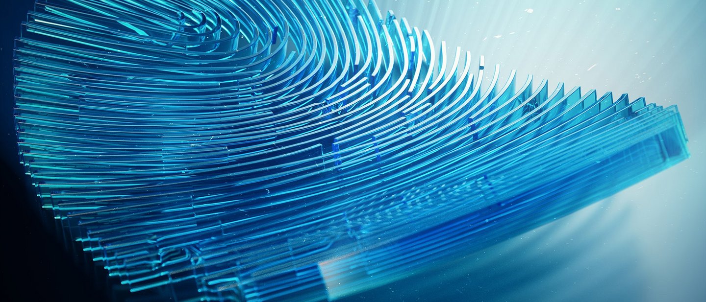 A 3D visual of a fingerprint, representing biometric cards