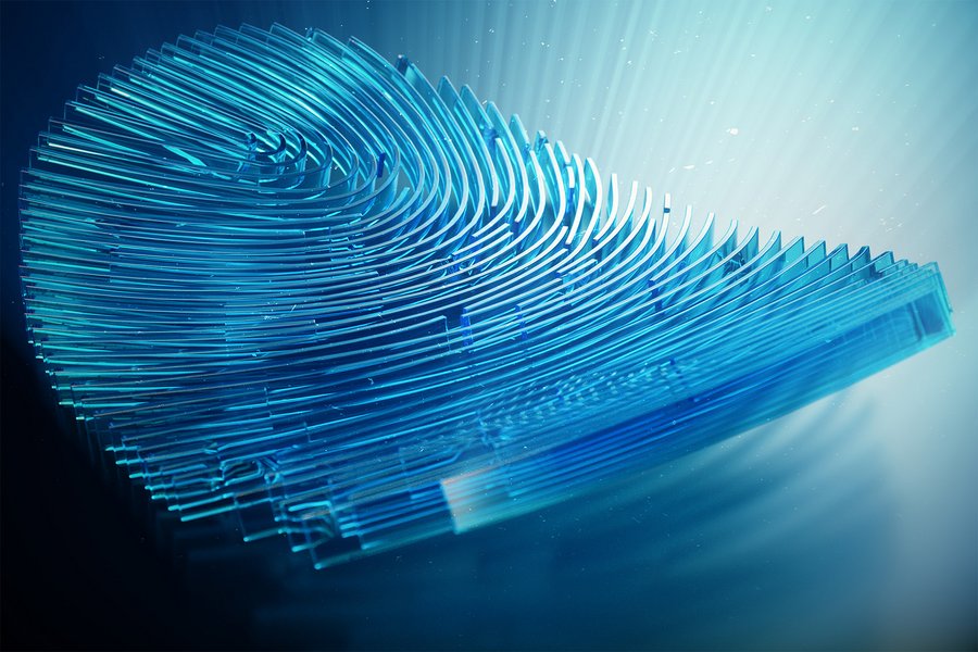 A 3D visual of a fingerprint, representing biometric cards