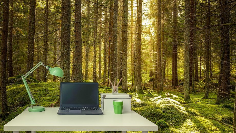 Desk with laptop in a green forest.