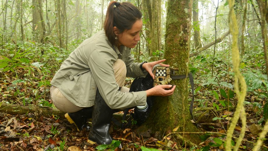 Eine Frau installiert eine Wildkamera im Wald