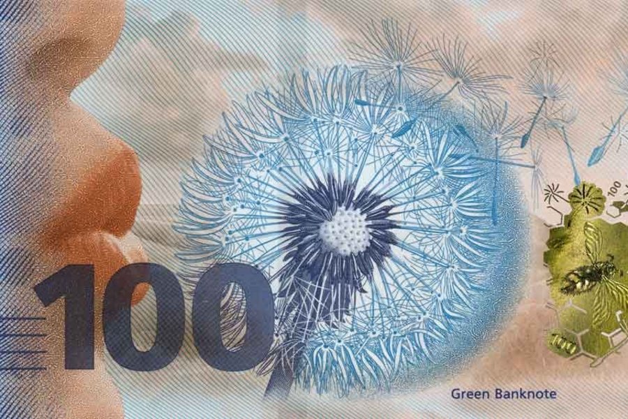 Model of a banknote with a dandelion and the inscription 'Green Banknote'.