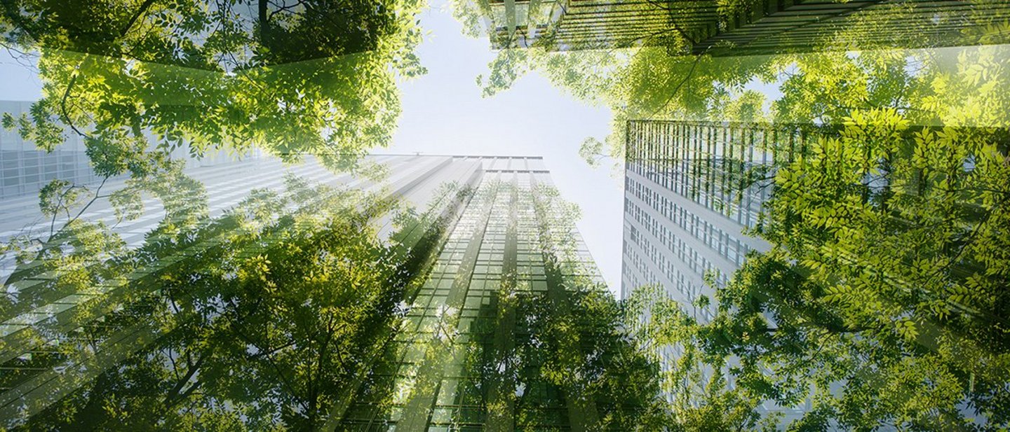 Geschäftsgebäude mit grünen Bäumen