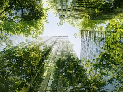 Office building with green trees