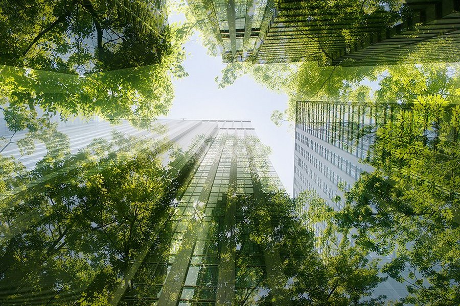 Office building with green trees
