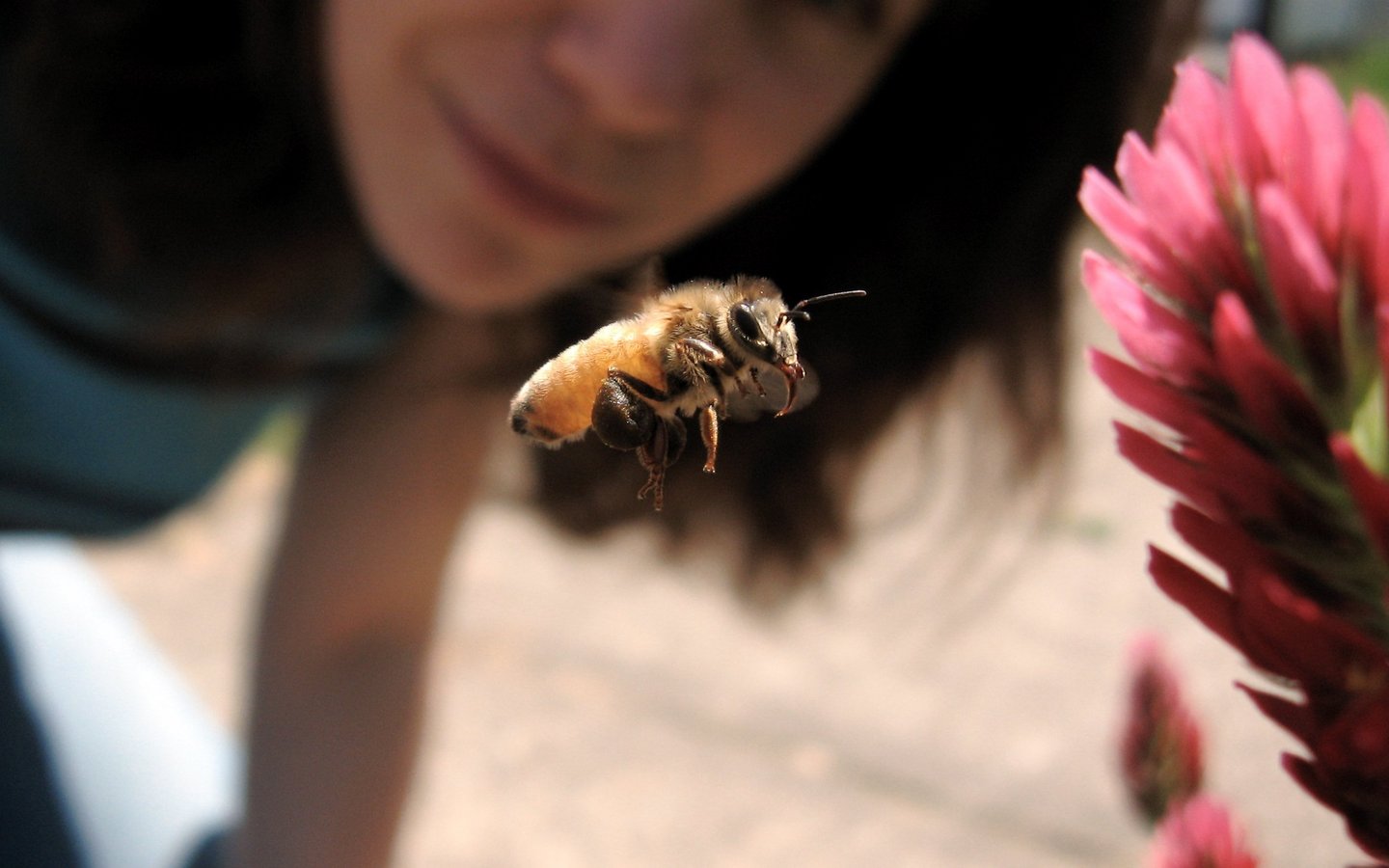 A woman looking at a bee